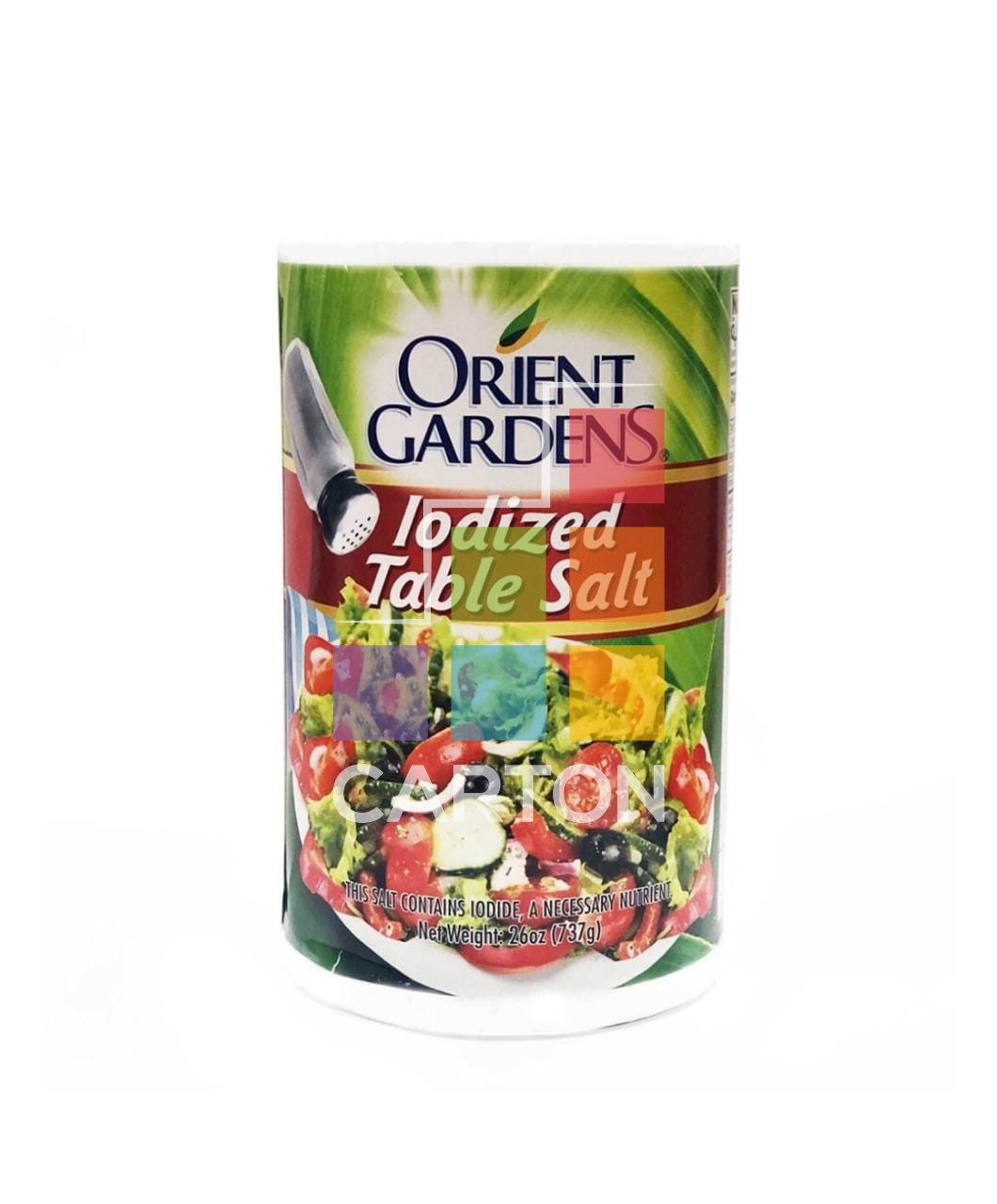 ORIENT GARDEN TABLE SALT - 24*737GM